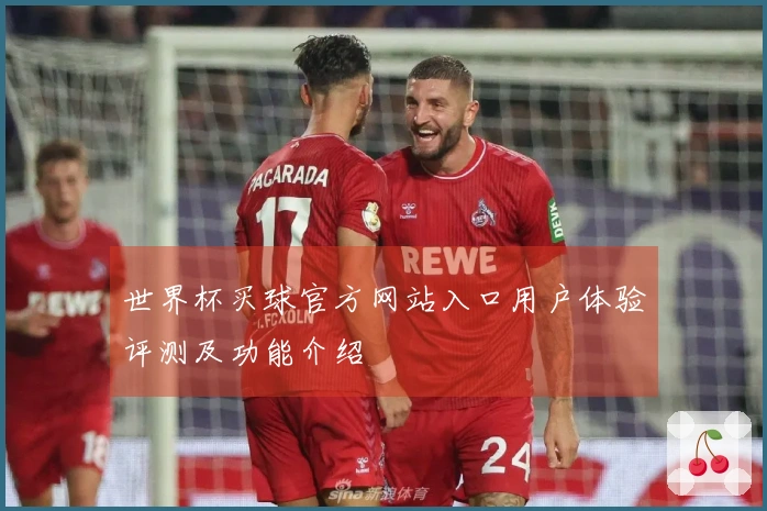 世界杯买球官方网站入口用户体验评测及功能介绍