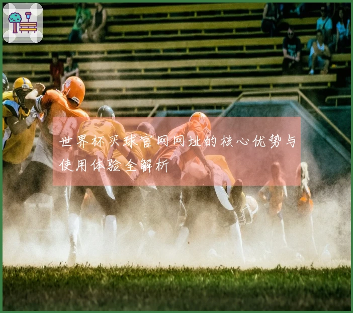 世界杯买球官网网址的核心优势与使用体验全解析