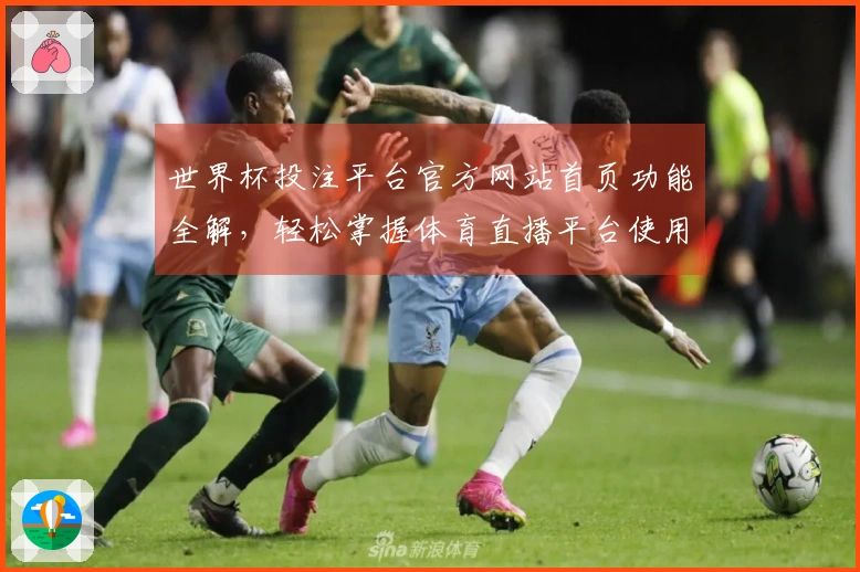 世界杯投注平台官方网站首页功能全解，轻松掌握体育直播平台使用技巧