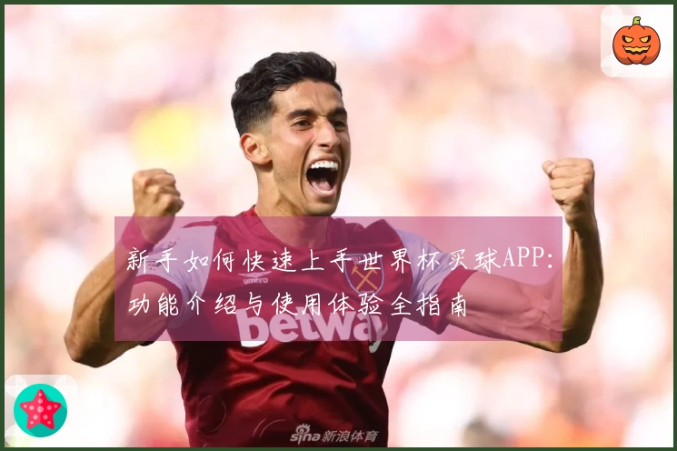 新手如何快速上手世界杯买球APP:功能介绍与使用体验全指南