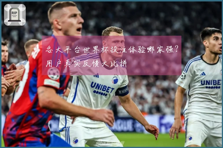 各大平台世界杯投注体验哪家强？用户真实反馈大比拼