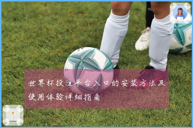 世界杯投注平台入口的安装方法及使用体验详细指南