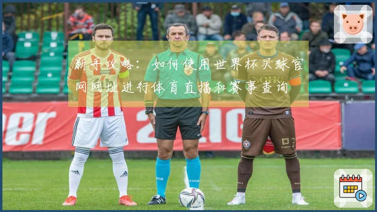新手攻略：如何使用世界杯买球官网网址进行体育直播和赛事查询