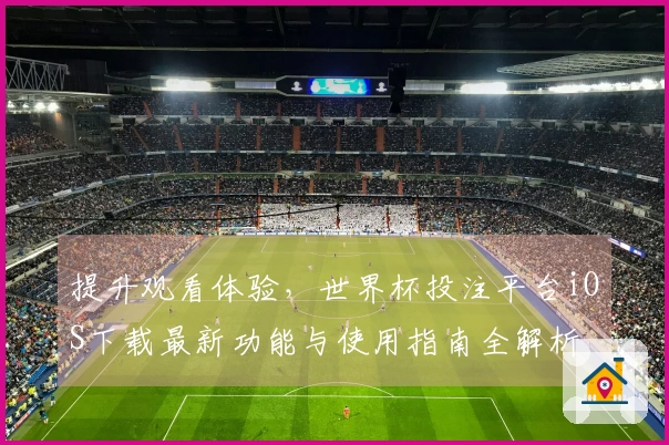 提升观看体验，世界杯投注平台iOS下载最新功能与使用指南全解析