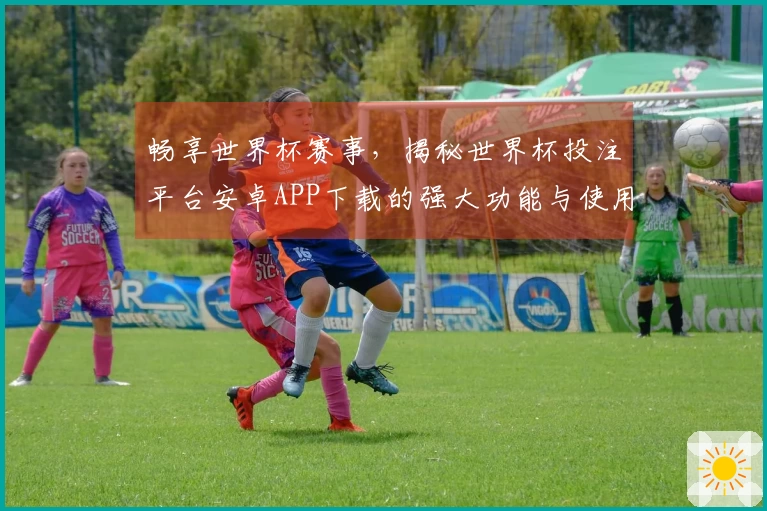 畅享世界杯赛事，揭秘世界杯投注平台安卓APP下载的强大功能与使用指南