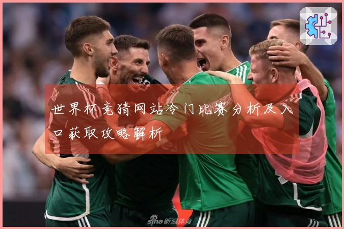 世界杯竞猜网站冷门比赛分析及入口获取攻略解析