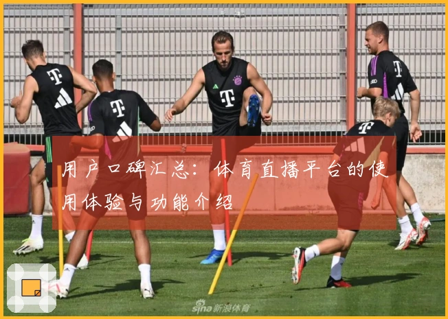 用户口碑汇总：体育直播平台的使用体验与功能介绍