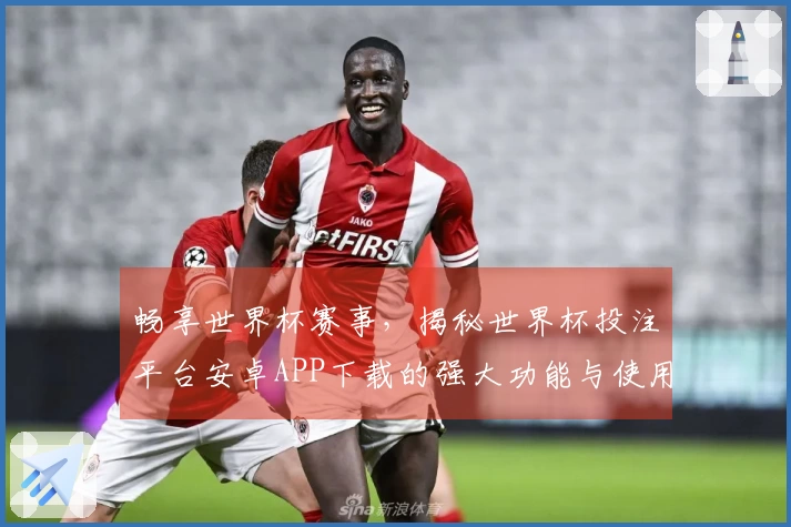 畅享世界杯赛事，揭秘世界杯投注平台安卓APP下载的强大功能与使用指南