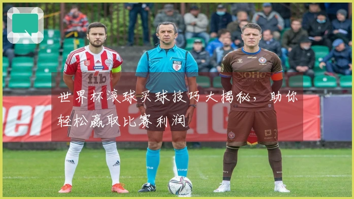世界杯滚球买球技巧大揭秘，助你轻松赢取比赛利润