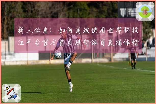 新人必看：如何高效使用世界杯投注平台官方首页进行体育直播体验