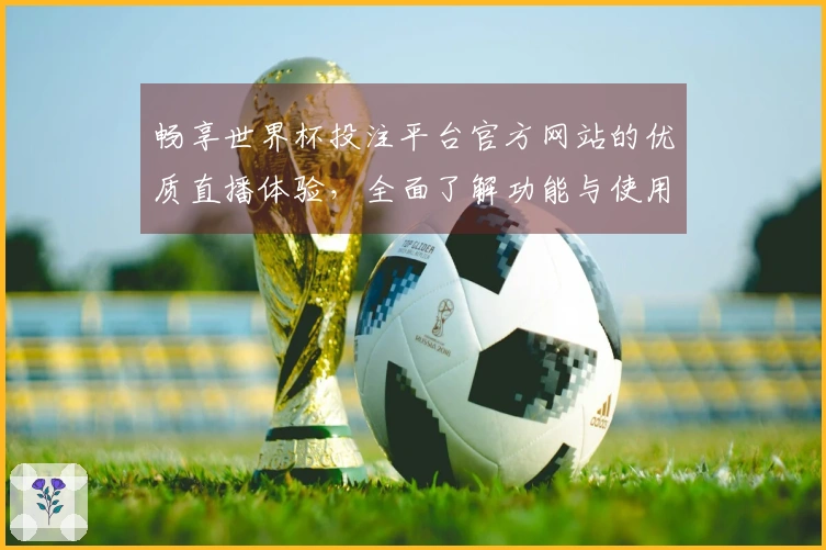 畅享世界杯投注平台官方网站的优质直播体验，全面了解功能与使用指南